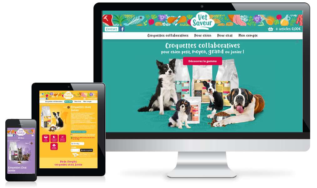 creation & gestion web